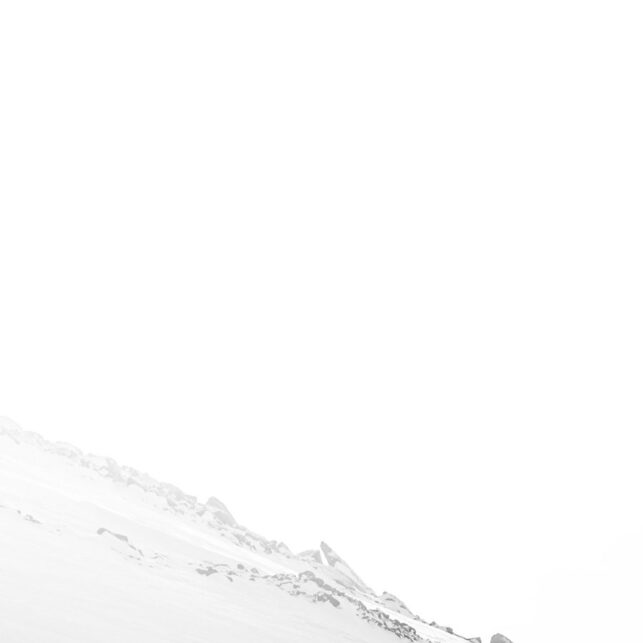 Kontraster i snøen, fotokunst veggbilde / plakat av Bård Basberg