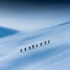 En gruppe skiløpere på rekke og rad påvei oppover fjellet., fotokunst veggbilde / plakat av Bård Basberg