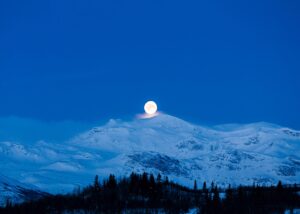 Sangsvanene passerer foran månen på sin vei til hekkeområdene lengre nord., fotokunst veggbilde / plakat av Kjell Erik Moseid