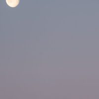 Tatt en tidlig morgen under soloppgang, men nedadgående måne, fotokunst veggbilde / plakat av Erling Maartmann-Moe