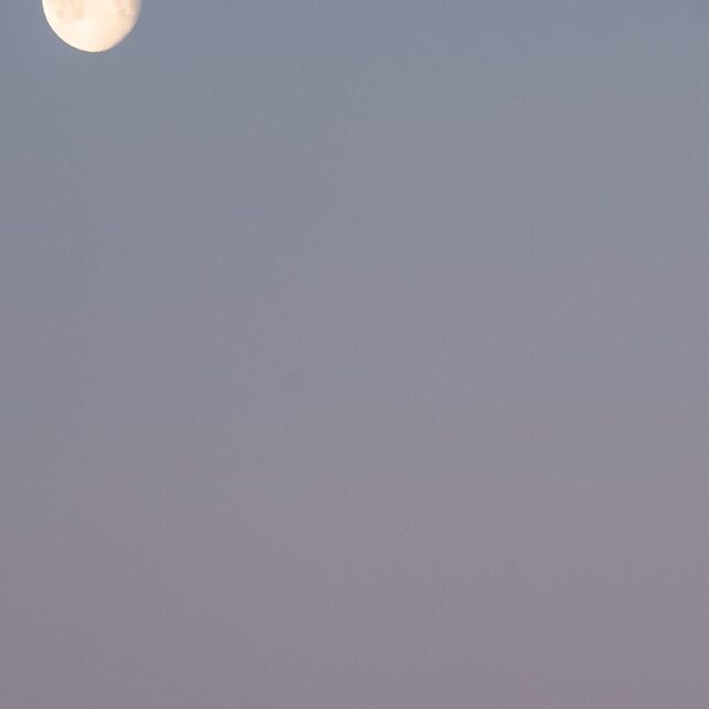 Tatt en tidlig morgen under soloppgang, men nedadgående måne, fotokunst veggbilde / plakat av Erling Maartmann-Moe