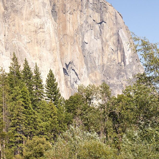 Yosemite Valley, med El Capitan til venstre og Bridalveil Falls til høyre., fotokunst veggbilde / plakat av Erling Maartmann-Moe