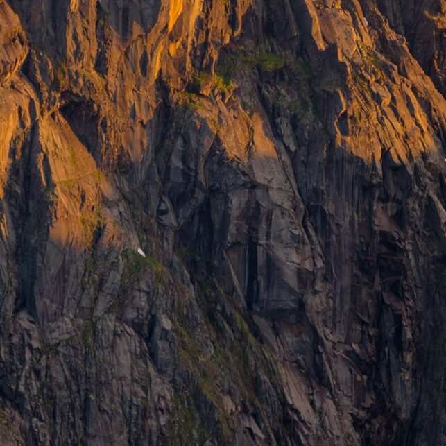 Trollfjordtindane i solnedgang, fotokunst veggbilde / plakat av Kåre Johansen