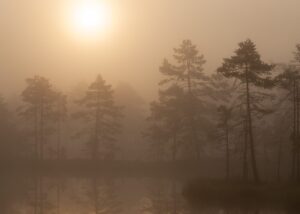 Tåkestmning ved et skogstjern, fotokunst veggbilde / plakat av Kjell Erik Moseid