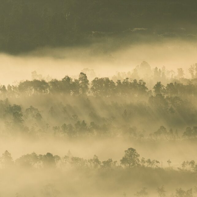 Morgenskodde med soltriper over skogåsene, fotokunst veggbilde / plakat av Kjell Erik Moseid