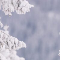 Kongeørn speider ut over vinterfjellet, fotokunst veggbilde / plakat av Kjell Erik Moseid