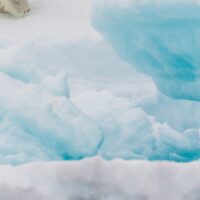 En isbjørn i drivisen, fotokunst veggbilde / plakat av Kjell Erik Moseid