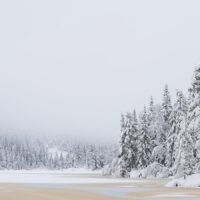 Et større skogsvann med tung snø og farget overvann., fotokunst veggbilde / plakat av Kjell Erik Moseid