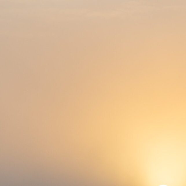 Soloppgang i tett tåke over et tjern en sommerdag., fotokunst veggbilde / plakat av Kjell Erik Moseid