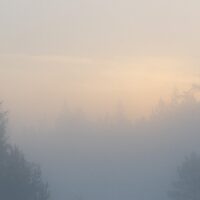 Tett morgentåke over et skogstjern i soloppgang, fotokunst veggbilde / plakat av Kjell Erik Moseid