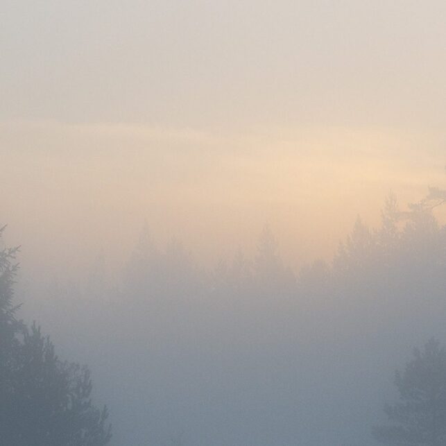 Tett morgentåke over et skogstjern i soloppgang, fotokunst veggbilde / plakat av Kjell Erik Moseid
