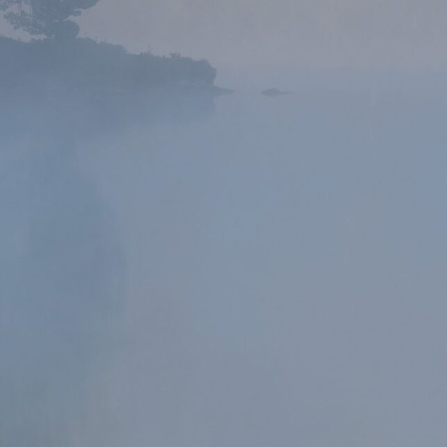 En holme i et skogstjern innhyllet i tåke som er i ferd med å lette., fotokunst veggbilde / plakat av Kjell Erik Moseid