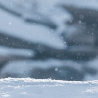 En fjellrev hviler i sol og lett snøvær, fotokunst veggbilde / plakat av Kjell Erik Moseid