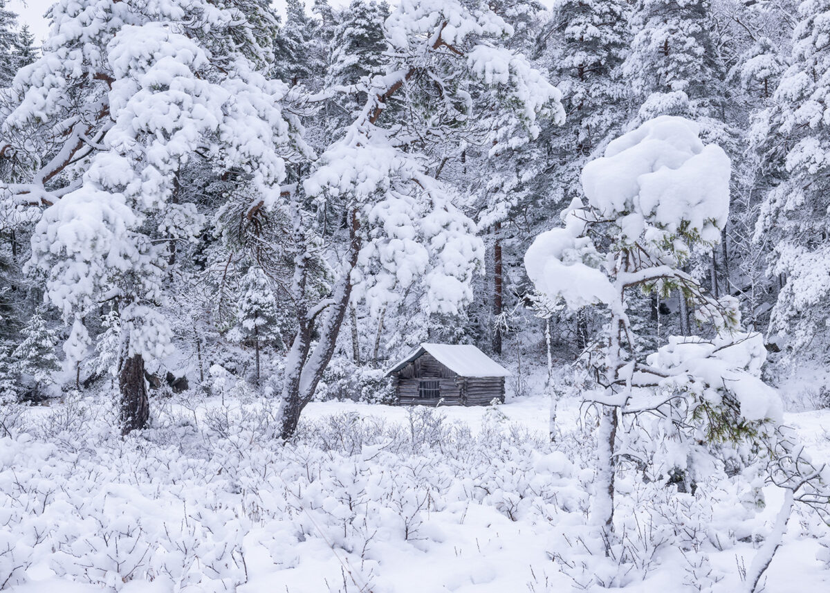 Et vinterlandskap med ei gammel høyløe, fotokunst veggbilde / plakat av Kjell Erik Moseid