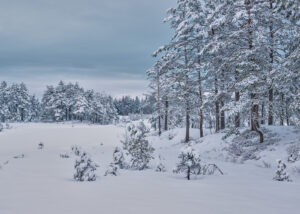 En kald og klar morgen på Finse, fotokunst veggbilde / plakat av Bård Basberg