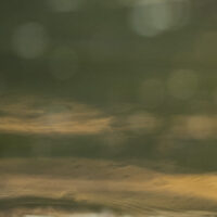 En bever svømmer mens kveldens siste solstreif speiler seg i vannet, fotokunst veggbilde / plakat av Kjell Erik Moseid