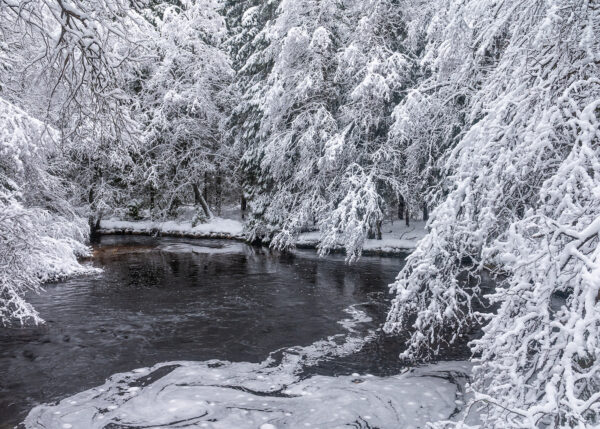Vinterlandskap med en liten bekk og snødekt vegetasjon, fotokunst veggbilde / plakat av Kjell Erik Moseid
