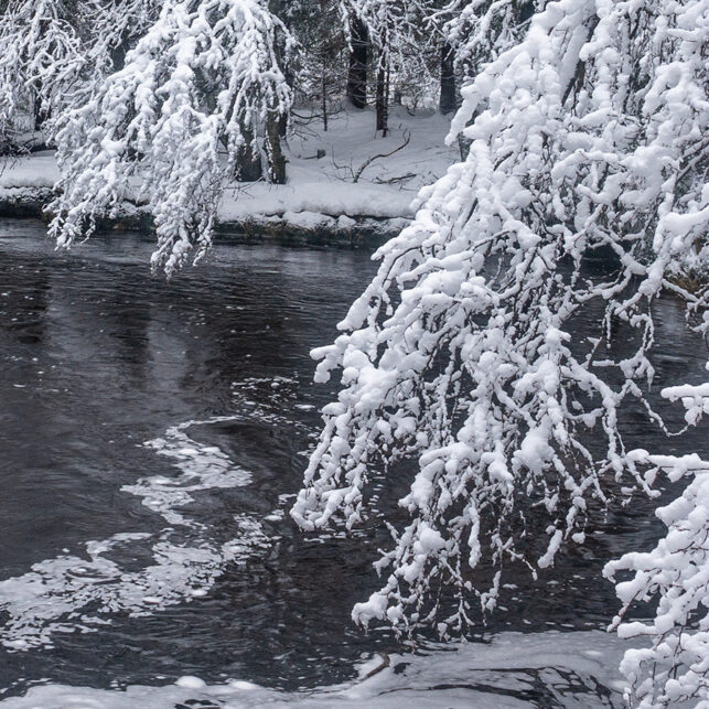 Vinterlandskap med en liten bekk og snødekt vegetasjon, fotokunst veggbilde / plakat av Kjell Erik Moseid