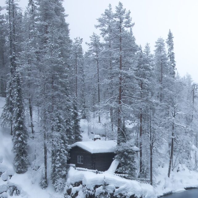 Vinterlandskap i Finland, fotokunst veggbilde / plakat av Kristoffer Vangen