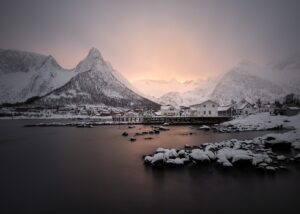 Lundefugl i snøstorm, fotokunst veggbilde / plakat av Terje Kolaas