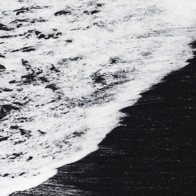 Fugl som flyr over svart strand, sett fra luften, fotokunst veggbilde / plakat av Kristoffer Vangen