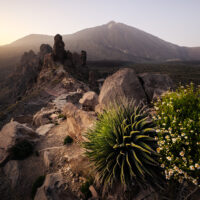 Ørkenlandskap med Teide i bakgrunnen, fotokunst veggbilde / plakat av Kristoffer Vangen
