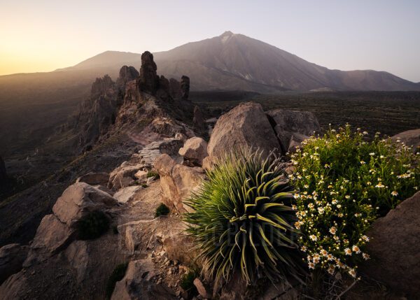 Ørkenlandskap med Teide i bakgrunnen, fotokunst veggbilde / plakat av Kristoffer Vangen