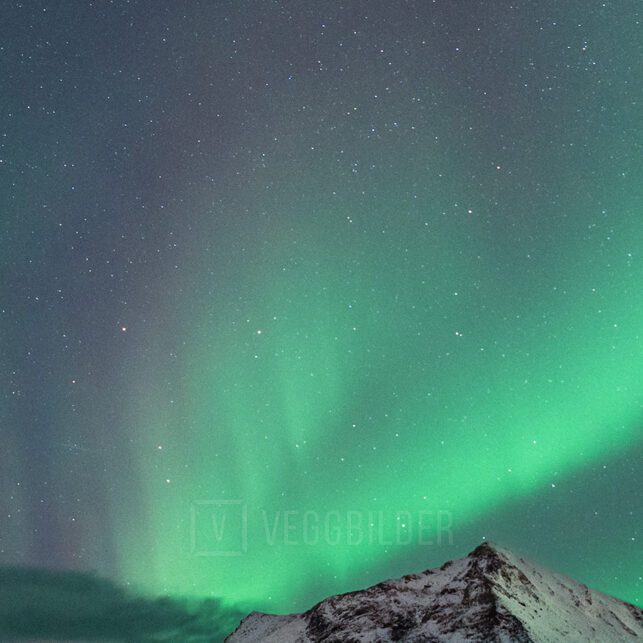 Nordlysbilde fra Vikstranda i Lofoten med snødekte fjell i bakgrunnen, fotokunst veggbilde / plakat av Klaus Axelsen