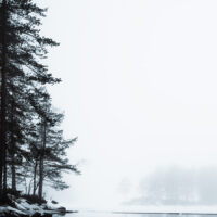 Vinterbilde av skogstjern og trær i tåke., fotokunst veggbilde / plakat av Klaus Axelsen