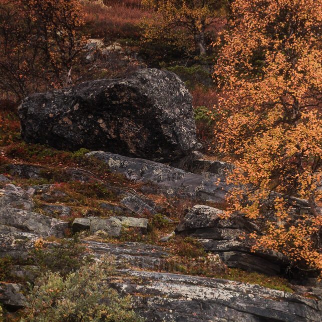 Fossefall med trær og høstfarger i omgivelsene, fotokunst veggbilde / plakat av Klaus Axelsen