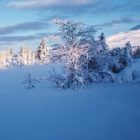 Klassisk vinterlandskap III, fotokunst veggbilde / plakat av Peder Aaserud Eikeland