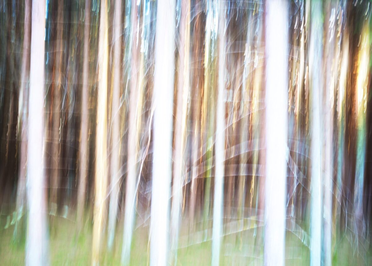 Abstrakt glødende skog, fotokunst veggbilde / plakat av Peder Aaserud Eikeland
