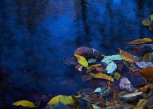 Langeksponeringsbilde av en elv med et høstblad, fotokunst veggbilde / plakat av Tor Arne Hotvedt