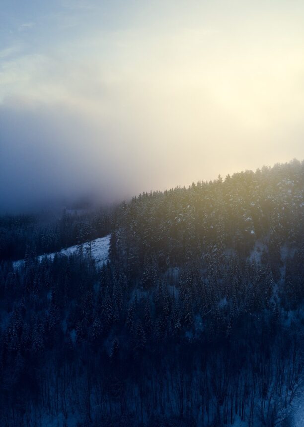 Sol gjennom vintertåke, fotokunst veggbilde / plakat av Peder Aaserud Eikeland