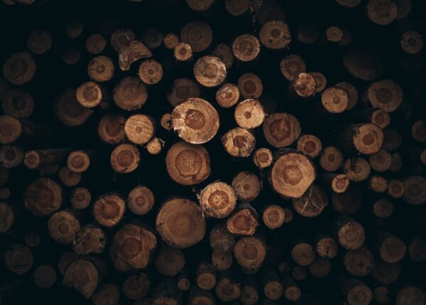 En stor stabel med tømmerstokker etter tynningen av skogen rundt Sognsvann i Oslo., fotokunst veggbilde / plakat av Tor Arne Hotvedt