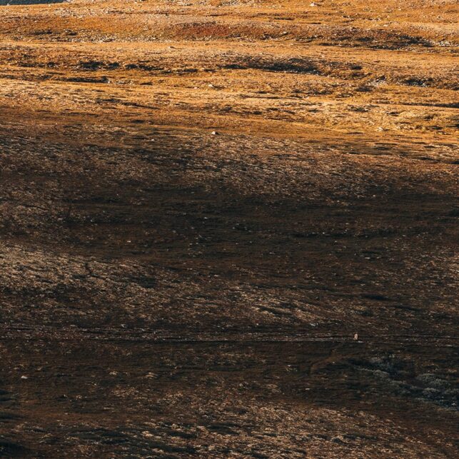 Svartnuten i Rondane, fotokunst veggbilde / plakat av Tor Arne Hotvedt