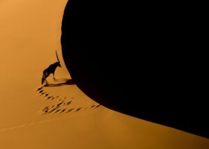 Fjell i ørkenlandskap, fotokunst veggbilde / plakat av Kristoffer Vangen