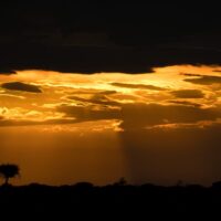 Soloppgang over savannen II, fotokunst veggbilde / plakat av Terje Kolaas