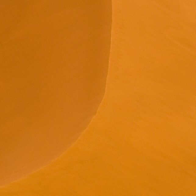 Kamel i Sahara, fotokunst veggbilde / plakat av Terje Kolaas