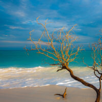 Tropisk strand, fotokunst veggbilde / plakat av Terje Kolaas