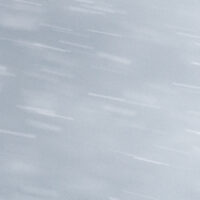 Lundefugl i snøstorm, fotokunst veggbilde / plakat av Terje Kolaas
