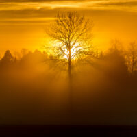Varm soloppgang, fotokunst veggbilde / plakat av Terje Kolaas
