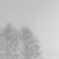 Traner i snø, fotokunst veggbilde / plakat av Terje Kolaas