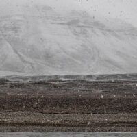 Vandrende isbjørn, fotokunst veggbilde / plakat av Terje Kolaas
