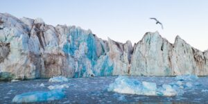 Isfjell og krykkjer, fotokunst veggbilde / plakat av Terje Kolaas