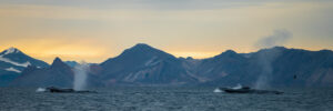 Svalbard i mørketid, fotokunst veggbilde / plakat av Magne Tveiten