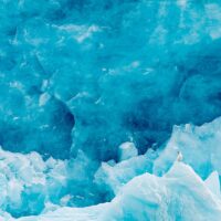Liten ismåke på stort isfjell, fotokunst veggbilde / plakat av Terje Kolaas