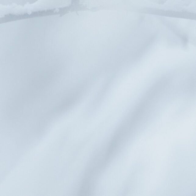 Blåmeis i snø, fotokunst veggbilde / plakat av Terje Kolaas
