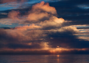 fjell og hav i solnedgang, fotokunst veggbilde / plakat av Kristoffer Vangen