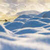 Fossekall i vinterelv, fotokunst veggbilde / plakat av Terje Kolaas